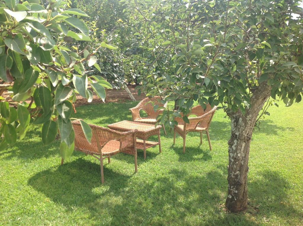 Agriturismo L'Agrumeto Otranto Ngoại thất bức ảnh